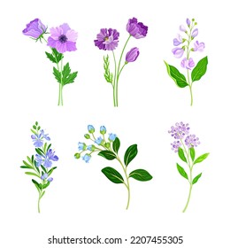 Set of beautiful wildflowers. Delicate blooming meadow or garden herbal plant cartoon vector illustration