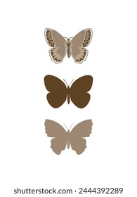 Set of Beautiful Wildlife Butterfly  Illustrations