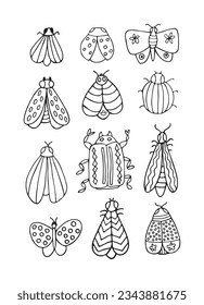 Set of beautiful winged insects, decorated with different ornaments isolated on a white background. All objects are separated. Vector illustration. Hand drawn.