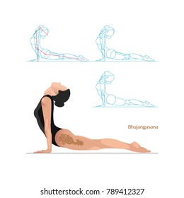 Set with beautiful woman in pose of yoga.  Vector yoga illustration and drawing. Bhujangasana. 