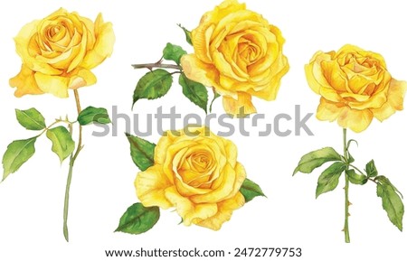 Similar – Image, Stock Photo Beautiful yellow rose with water drops on petals close-up. Beautiful yellow rose with water droplets on petals after rain.