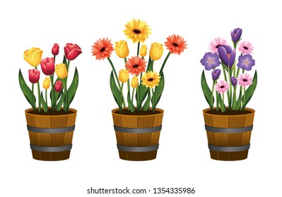 set beauty flowers plants with leaves inside flowerpot