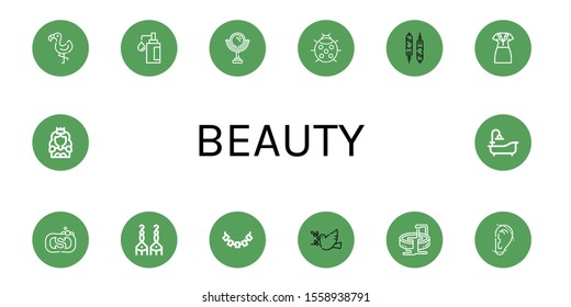Set of beauty icons. Such as Flamingo, Soap, Mirror, Ladybug, Feathers, Dress, Earrings, Necklace, Dove, Jacuzzi, Otoplasty, Princess, Bathtub , beauty icons