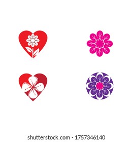 Set Beauty plumeria icon flowers design illustration Template