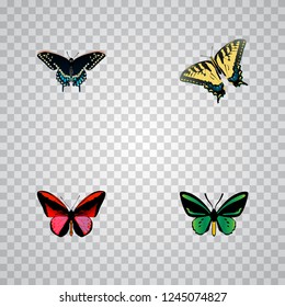 Set of beauty realistic symbols with agrias claudina, beauty fly, spicebush and other icons for your web mobile app logo design.