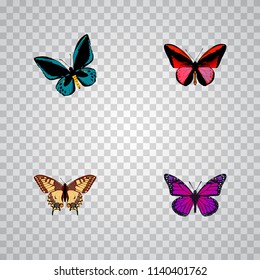 Set of beauty realistic symbols with checkerspot, lexias, agrias claudina and other icons for your web mobile app logo design.