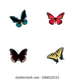 Set of beauty realistic symbols with hypolimnas, pink-wing, tiger swallowtail and other icons for your web mobile app logo design.