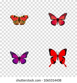 Set of beauty realistic symbols with precis almana, archippus, violet wing and other icons for your web mobile app logo design.