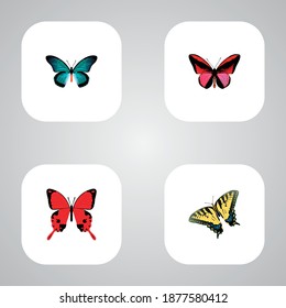 Set of beauty realistic symbols with tailed-blue, archippus, agrias claudina and other icons for your web mobile app logo design.