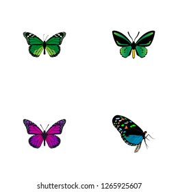 Set of beauty realistic symbols with violet wing, green peacock, beauty fly and other icons for your web mobile app logo design.