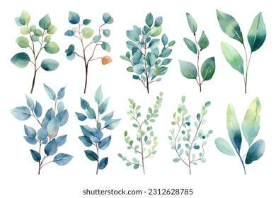 Set of beauty watercolor vector branches