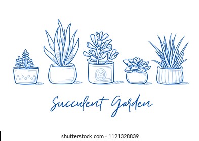 Set of beautyful succulent plants in garden pottery with hand written font. Hand drawn blue outline line art cartoon vector illustration.