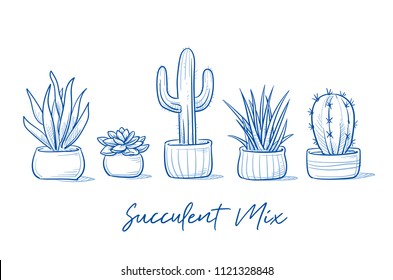 Set of beautyful succulents and cactus plants in garden pottery with hand written font. Hand drawn blue outline line art cartoon vector illustration.