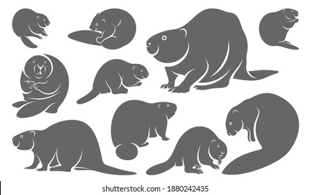 Set of Beaver logo vector, Creative Beaver logo design concepts template, icon symbol, illustration