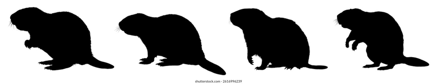 Set of beaver silhouette – vector illustration