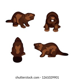 Set of beavers. Vector illustration on white background