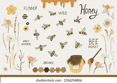 Set of bee, honey vector illustration.