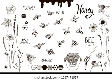 Set of bee, honey vector illustration.