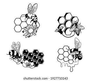 Set of bee with honeycomb. Collection of stylized logo with a honey bee. Farm of honey. Vector illustration on white background.