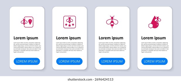 Set Biene und Wabe, Art der Biene und Ort. Vorlage für Geschäftsinformationen. Vektorgrafik