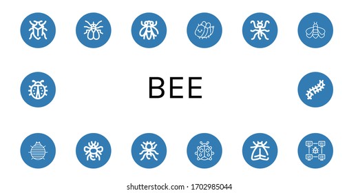 Set of bee icons. Such as Bug, Fly, Bee, Mantis, Bumblebee, Woodlouse, Pheidole, Ladybug, Moth, Scolopendra , bee icons