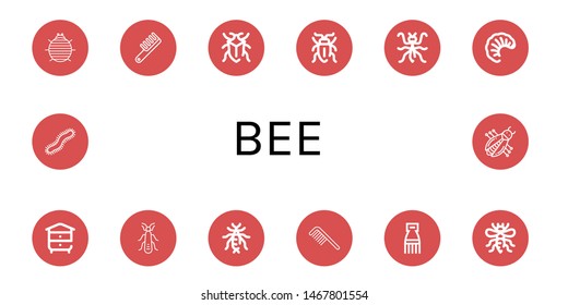 Set of bee icons such as Woodlouse, Comb, Bug, Sap beetle, Mantis, Larva, Beehive, Stonefly, Earwig, Bee, Centipede , bee