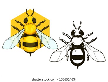 Set of Bee insect cartoon for decoration.