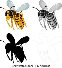 Set of bee on white background illustration