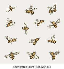 Set of bee, vector illustration.