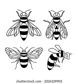 Set of bee vector illustrations