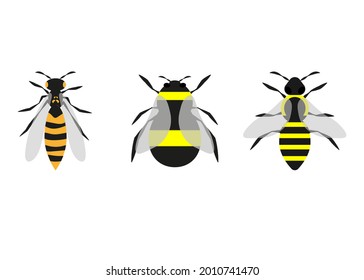 Set of bee and wasp on white background. Vector illustration