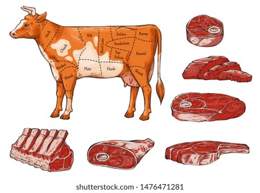 Set of beef meat and steaks, slices and a cow for restaurants and a butcher. Diagram and chart of cow cuts of beef. Isolated vector illustration.