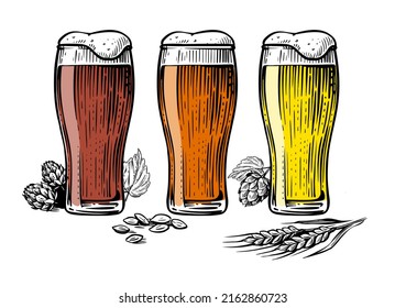 Set beer in glass mugs. Light, pilsner, wheat, lager, ale. Vector hand drawn illustration