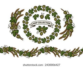 Set of beer hop branches, cones, and leaves plus beer hop seamless border and decorative wreath of hop. Elements for brewery design. Hand drawn vector illustration isolated on white background. 