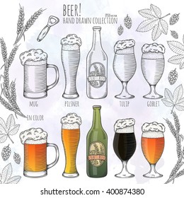 Set of beer objects. Hand drawn vector illustration.