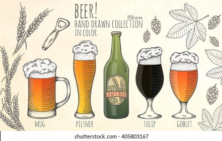 Set of beer objects. Hand drawn vector illustration.