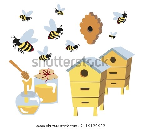 set of bees, glass jars of honey and various hives, a ladle for honey. Beekeeping, beekeeping equipment, cartoon objects isolated on a white background stock vector illustration.