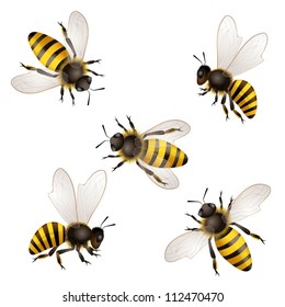 Set of bees  isolated on white