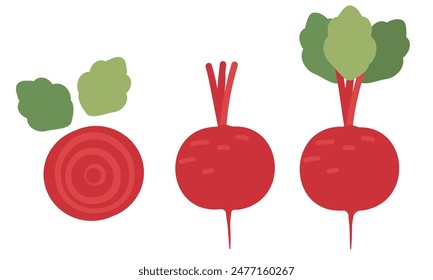 Set of beet root sign logo isolated on white background vector.