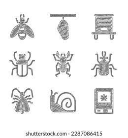 Set Beetle deer, Snail, Book about insect, bug, Clothes moth, Stink, Hive for bees and  icon. Vector