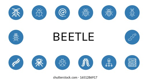 Set of beetle icons. Such as Cockroach, Stink bug, Mosquito coil, Bed bug, Stonefly, Scolopendra, Pheidole, Ladybug, Caterpillar, Bug, Egypt, Beetle, Worm , beetle icons