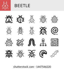 Set of beetle icons such as Beetle, Moth, Ladybug, Bed bug, Woodlouse, Cockroach, Stonefly, Mosquito coil, Bug, Caterpillar, Egypt, Larva, Worm , beetle