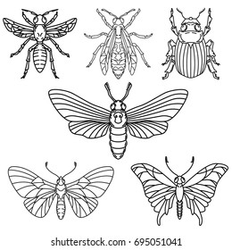 Set of beetle illustrations isolated on white background.