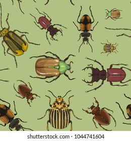 Set of beetle illustrations pattern