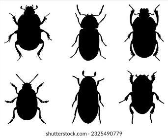 Set of Beetle Silhouette Vector Art