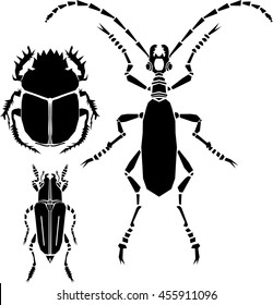 Set of beetles