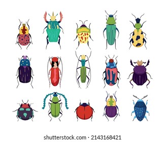 A set of beetles of different shapes and colors. modern design isolated white background. Set with spring and summer insects. Hand drawn illustration. Collection of beetles and exotic beetles.