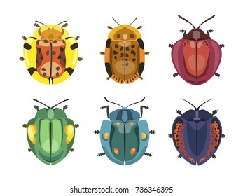 Set of beetles insect isolated on white background animal vector bugs