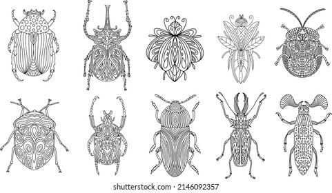 Set of beetles and insects in a linear style. Linear vector illustration of beetles.