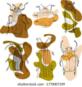 Set of beetles isolated. Graphics.  